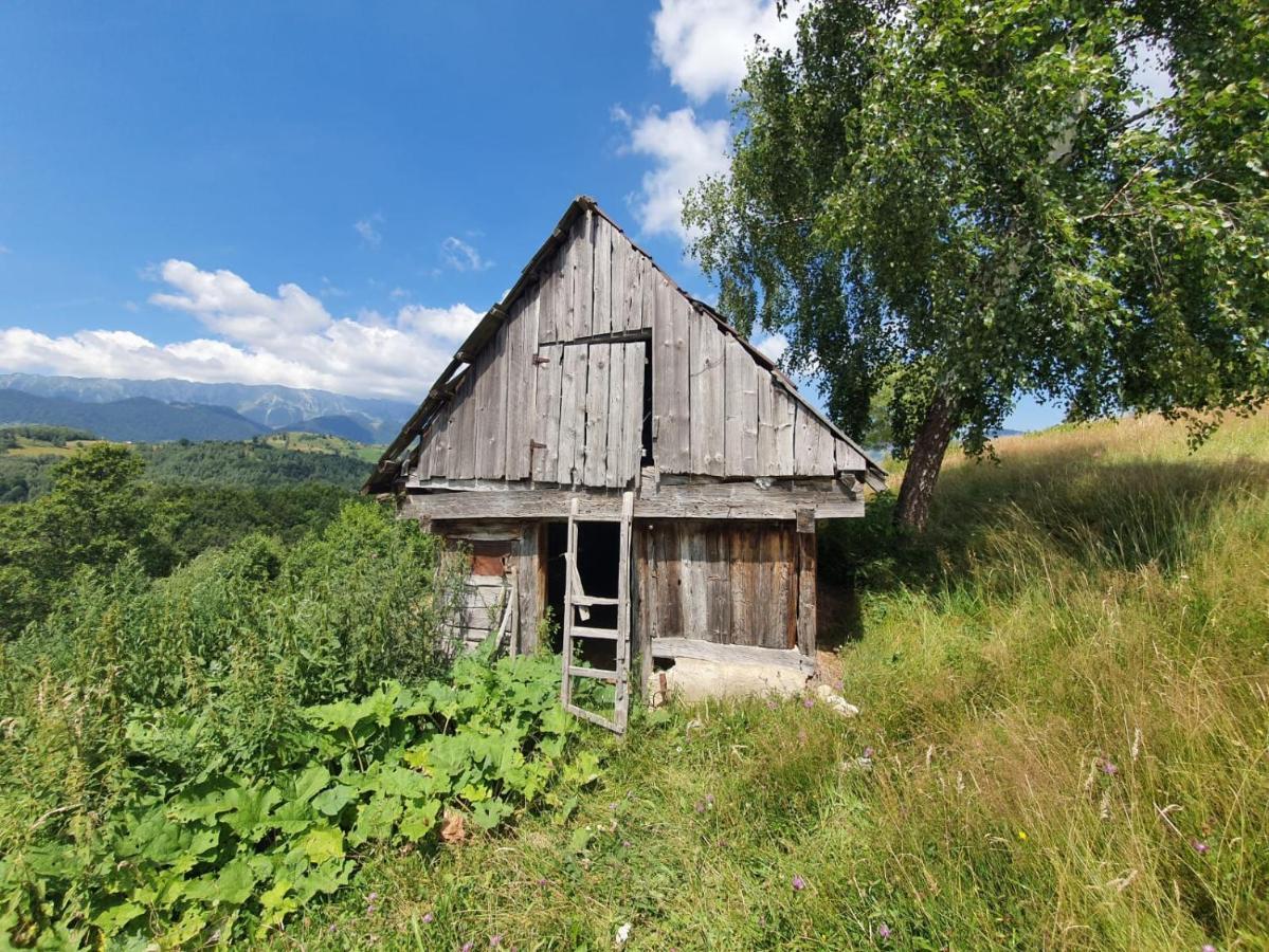 La Odai Bran  Extérieur photo